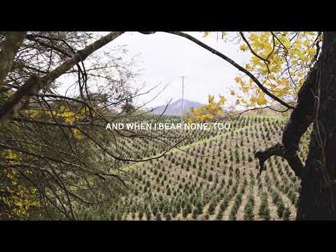 Liv Douglas - "Abundance" Official Lyric Video