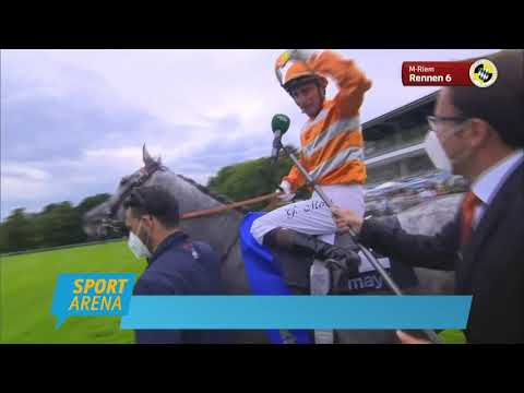 Starpferd aus Frankreich  triumphiert im Großen Dallmay-Preis auf der Galopprennbahn München-Riem