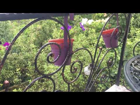 Comuna Cătina, Județul Buzău