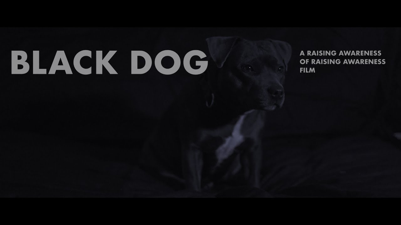 Black Dog: A Raising Awareness of Raising Awareness Film