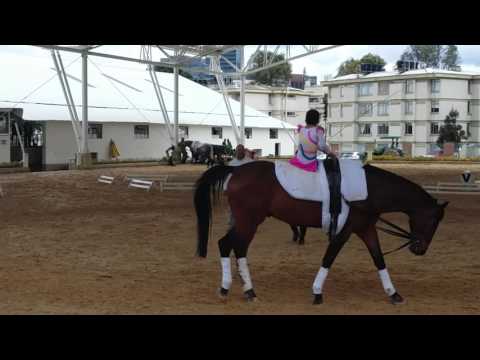20170429 - CONCURSO INTERNO DE VAULTING ESCUELA DE EQUITACIÓN DEL EJÉRCITO
