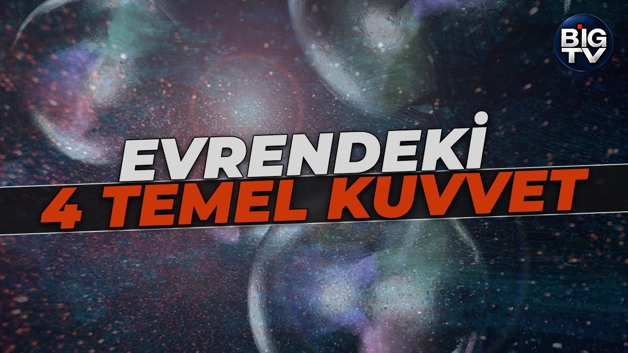 Evrendeki 4 Temel Kuvvet | BIG TV x BBC Science Focus Türkiye