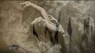 Lhasa De Sela ~ El Desierto