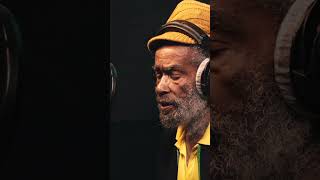 Max Romeo - Dubplate - Little Lion Sound