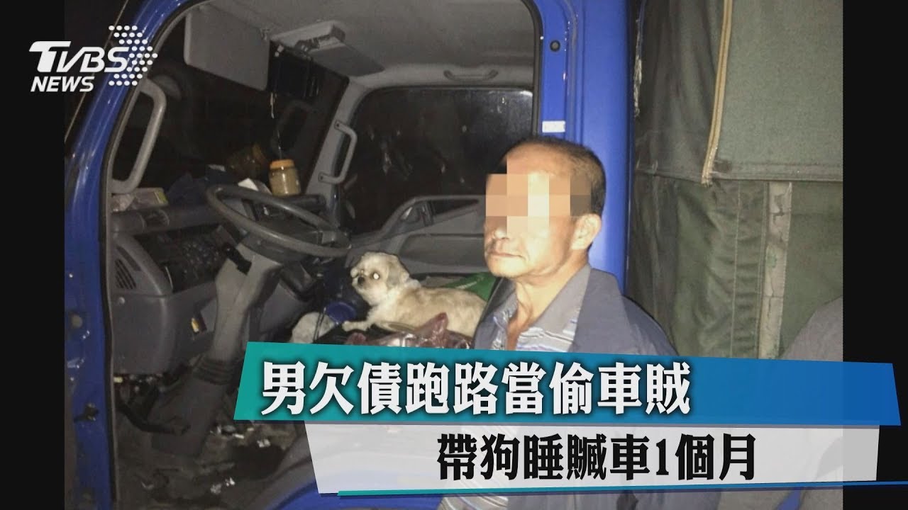 欠債跑路當偷車賊 男帶狗睡贓車1個月
