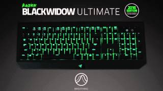 Razer Blackwidow Ultimate 2016 | Lighting Effects