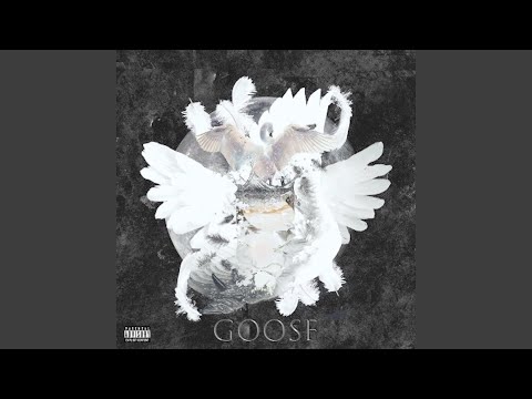 Goose