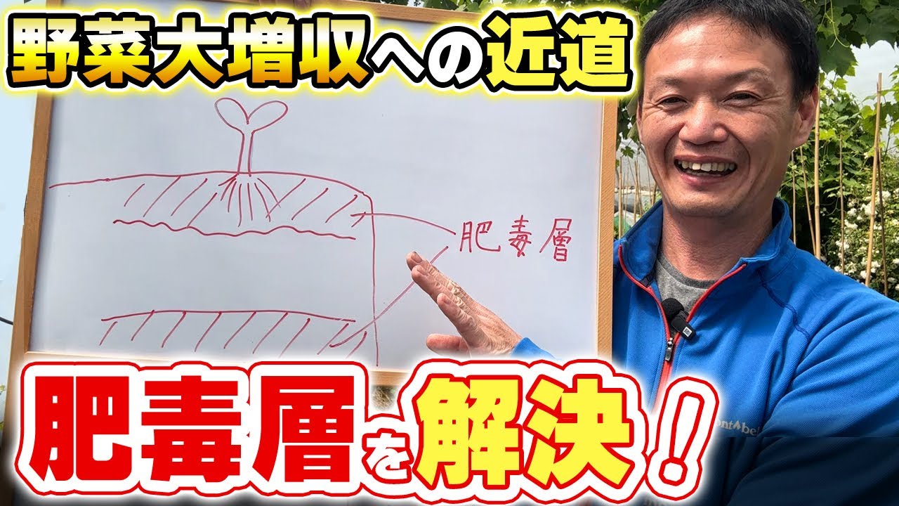 土の肥毒を解消する方法