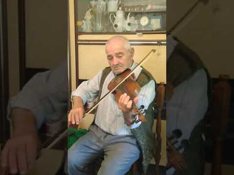 Horă (oră) din satul Șărbanuț - Valea Timocului -  Miroslav a lu Ciulin, lăută (vioară)