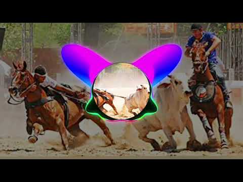 A VAQUEJADA É AMANHÃ - KAUAN DAS MUGANGAS E MIMIN DO GADO (REPERTÓRIO NOVO DE 2022)