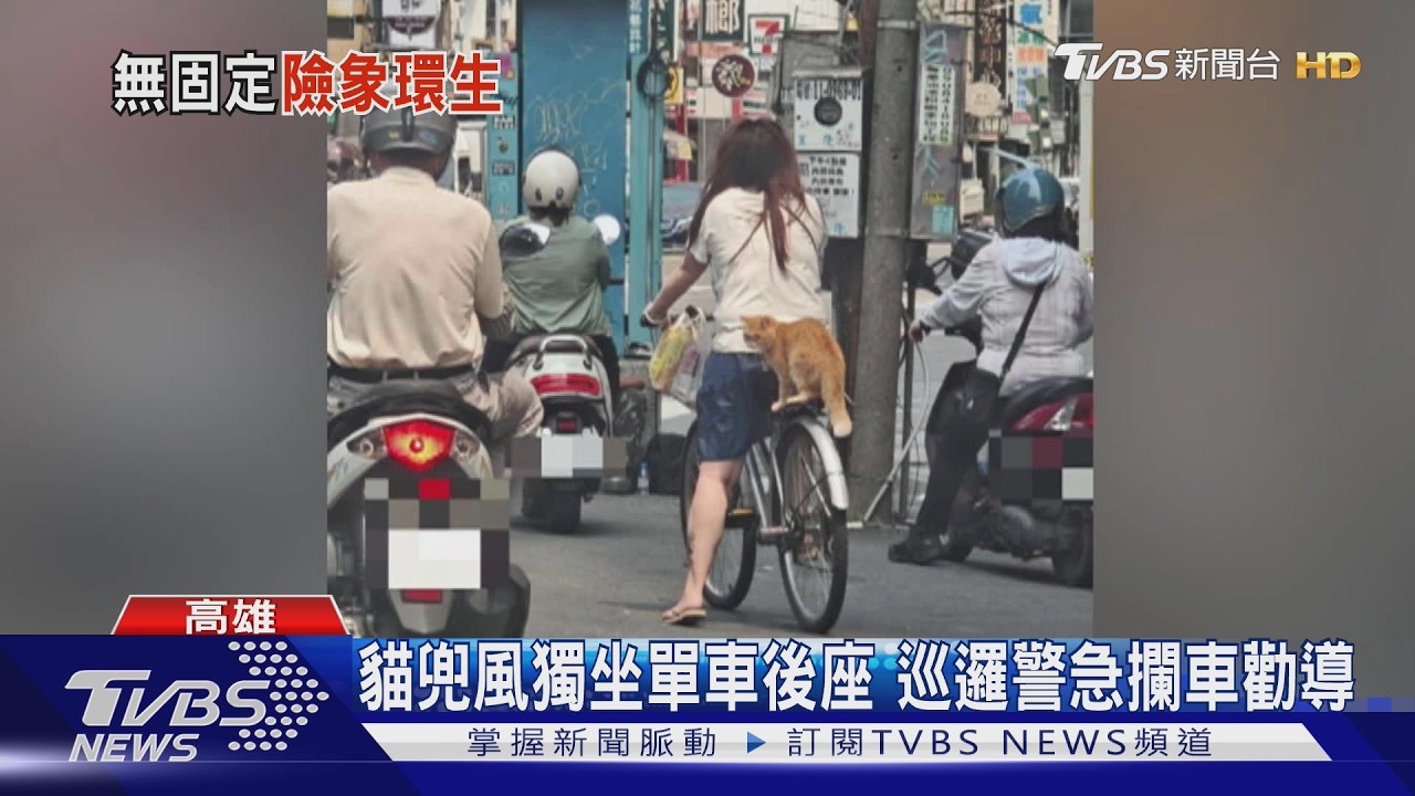 女騎單車「貓咪坐後座」遭攔!無繫繩恐挨罰 抱貓徒步離開
