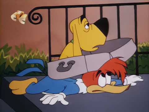 138 - Get Lost Little Doggy