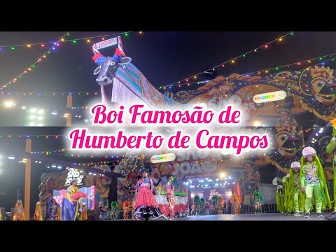 Boi Famosão de Humberto de Campos 2025 | São João do Maranhão (Arraial do Ipem) | O maior do mundo