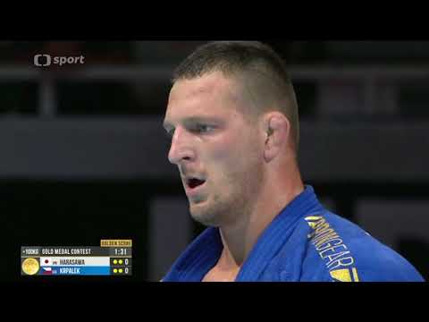 2019 Tokyo Final +100 kg Harasawa Hisayoshi JPN