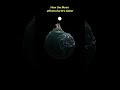 Wonder 🤩 | How the Moon affects Earth's Tides | @MakeDreamComeTrue