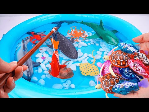 [🐟toy asmr 🐟] Sea Animal Toys & Zuru Robo Fish & Robo Turtle Playset ASMR | Satisfying Unboxing