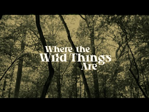 Phlvmez - Where the Wild Things Are (Official Trailer)