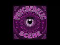 Robyn Hitchcock Interview with Rob of Psychedelic Scene