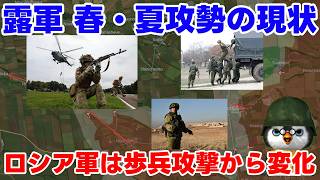 【ペンギン閣下】ロシア軍の攻勢作戦の今！！【国際情勢】