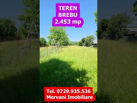 Teren intravilan 2453 mp de vanzare in Brebu — Video