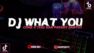 Download lagu DJ WHAT YOU CAME X TEKI GAN PARGOY SANTUY || DJ CAMPURAN FYP TIKTOK 2022 SOUND KANE JEDAG JEDUG mp3