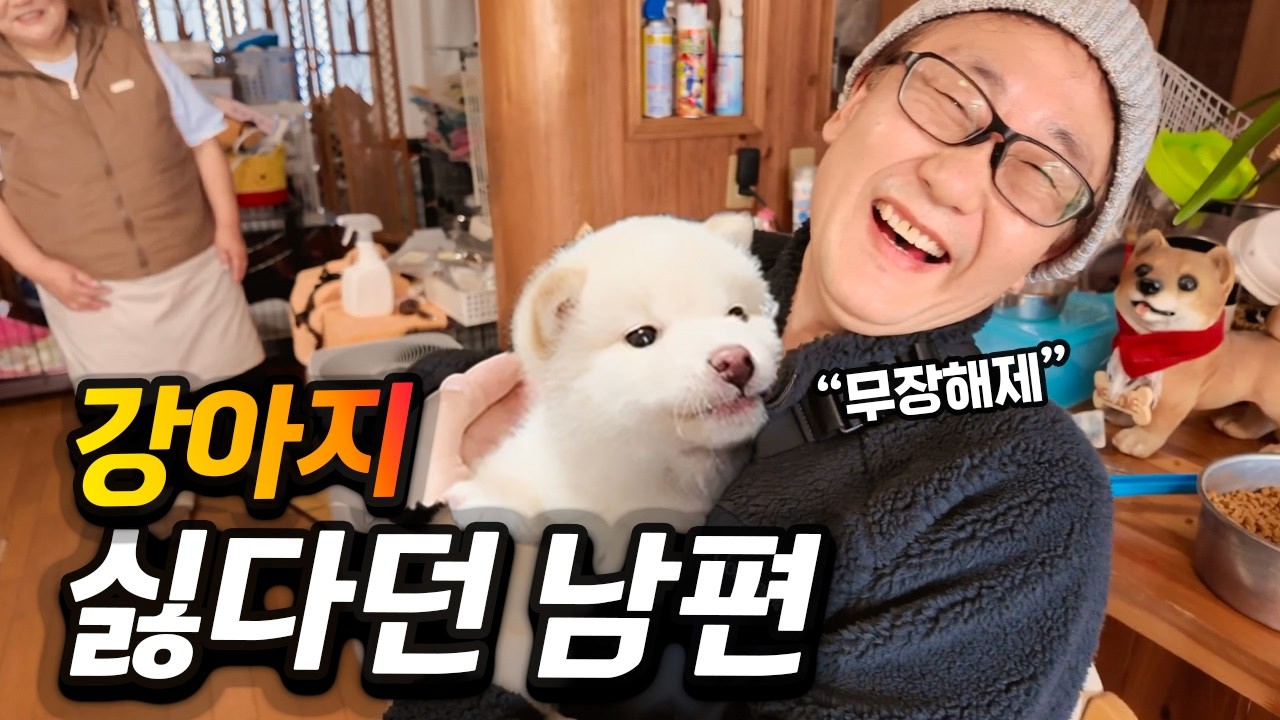 강아지 싫다던 남편의 뜻밖의 반응 | 일본 강아지 분양, 만만치 않은 비용과 절차