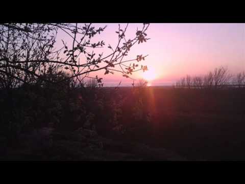 Bröllopsvisa (till Ida & Magnus) - Greger Siljebo & Eva Bartholdsson