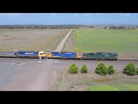 7731V Pacific National Grain Train Arrives At Gheringhap (27/10/2023) - PoathTV Australian Railways