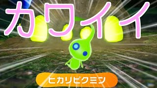 🔴【ピクミン4】ヒカリピクミンと戯れる