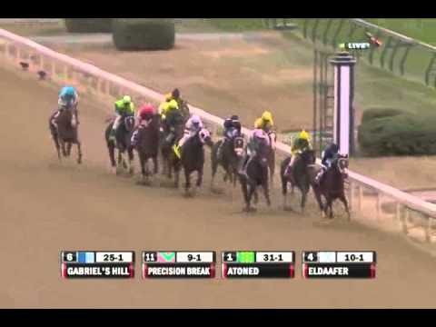 2010 Breeders' Cup Marathon