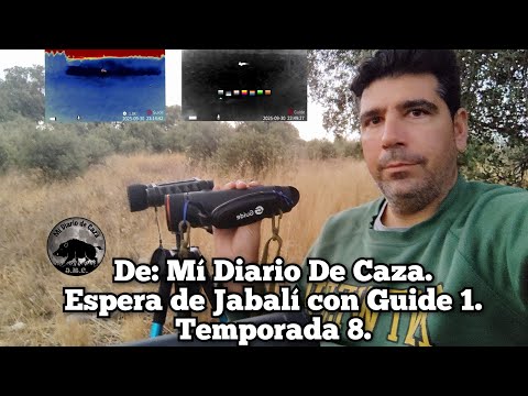 Boar Waiting with the TJ650 Guide 1, Season 8 (25-26).