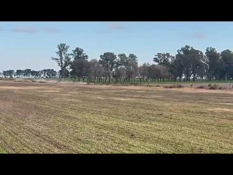 Rally Santafesino 2025, Villa Eloísa, Santa Fe. Recta después de la caída, pero pudimos terminar