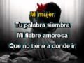 siempre KARAOKE Mijares