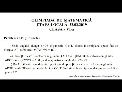 Olimpiada locala 2019, clasa a VI-a - Problema 4