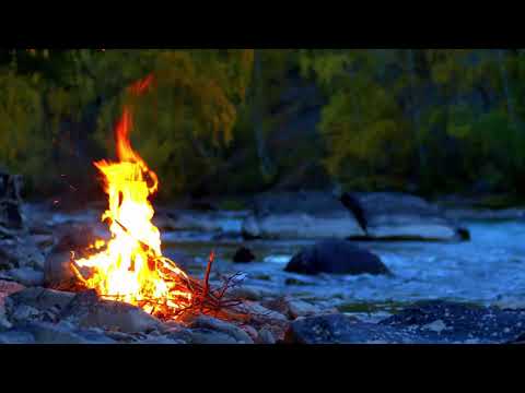 Relaxing Native Flute & Campfire in 4k | Calming Water & Bird Sounds | 1 Hour |
