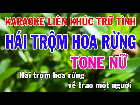 Karaoke Liên Khúc Trữ Tình l Tone Nữ Nhạc Sống l Hái Trộm Hoa Rừng l Phối Mới Dễ Hát l Nhật Nguyễn