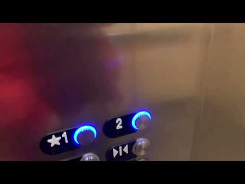 2 chimes! Otis- 7670 Lake mead Blvd, Las Vegas, NV