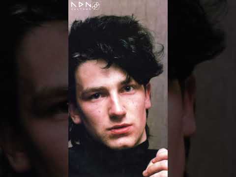 Bono de U2 dando una gran lección de amor, en crónicas musicales.