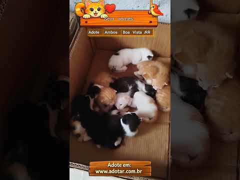 Vídeo de Sem nomes