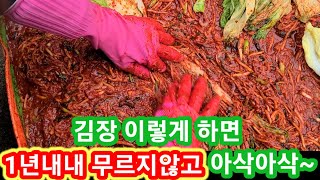 김장 1년내내 무르지 않고 아삭아삭 하게  김장하는 방법