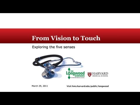 From Vision to Touch: Exploring the Five Senses