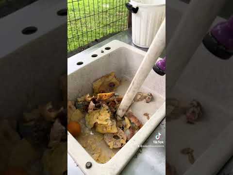 Free Fuel From Food Waste