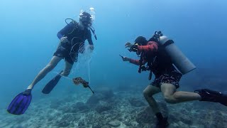 Maxwell rescues baby sandray snagged by fishing line while SCUBA diving in Costa Rica,