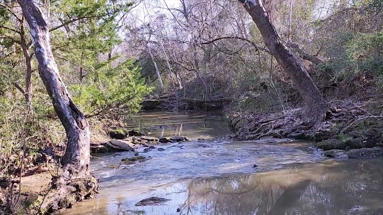 Harvey Creek on 89± Acres For Sale