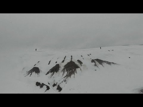 Long Arm - Silent Opera - Official Video (Project: Mooncircle, 2020)