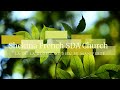 Shékina Église Adventiste du 7ème Jour | Service du Vendredi Soir | 31 Mai, 2024