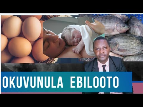 Yiga okuvunula Ebilooto Namakulu Gabyo Amatuufu by Brother Steven