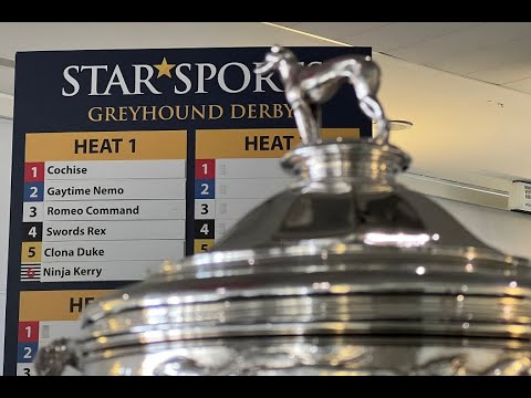 THE FINAL VERDICT: Star Sports Greyhound Derby Final 2023