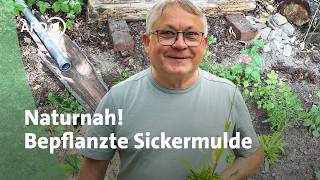 Sickerbeet im Naturgarten: Regenwasser sinnvoll nutzen│Querbeet
