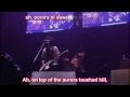 the pillows - Funny Bunny live (subbed) 
